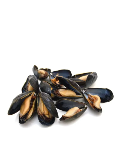 BLUE MUSSEL (1KG)