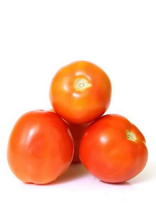 TOMATO XL (~700G)
