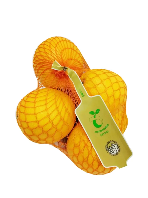 SOUTH AFRICA NAVEL ORANGE 6PCS