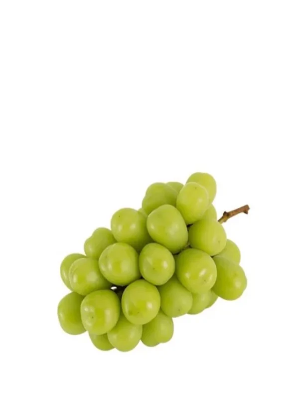 JAPAN SHINE MUSCAT (~320G)