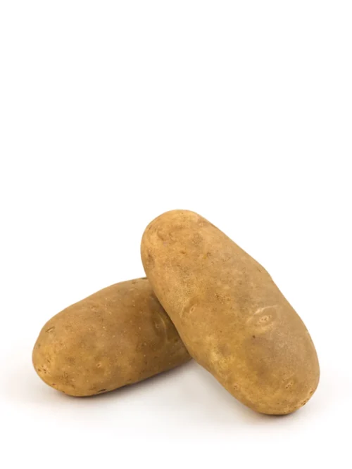US RUSSET POTATO (~500G)